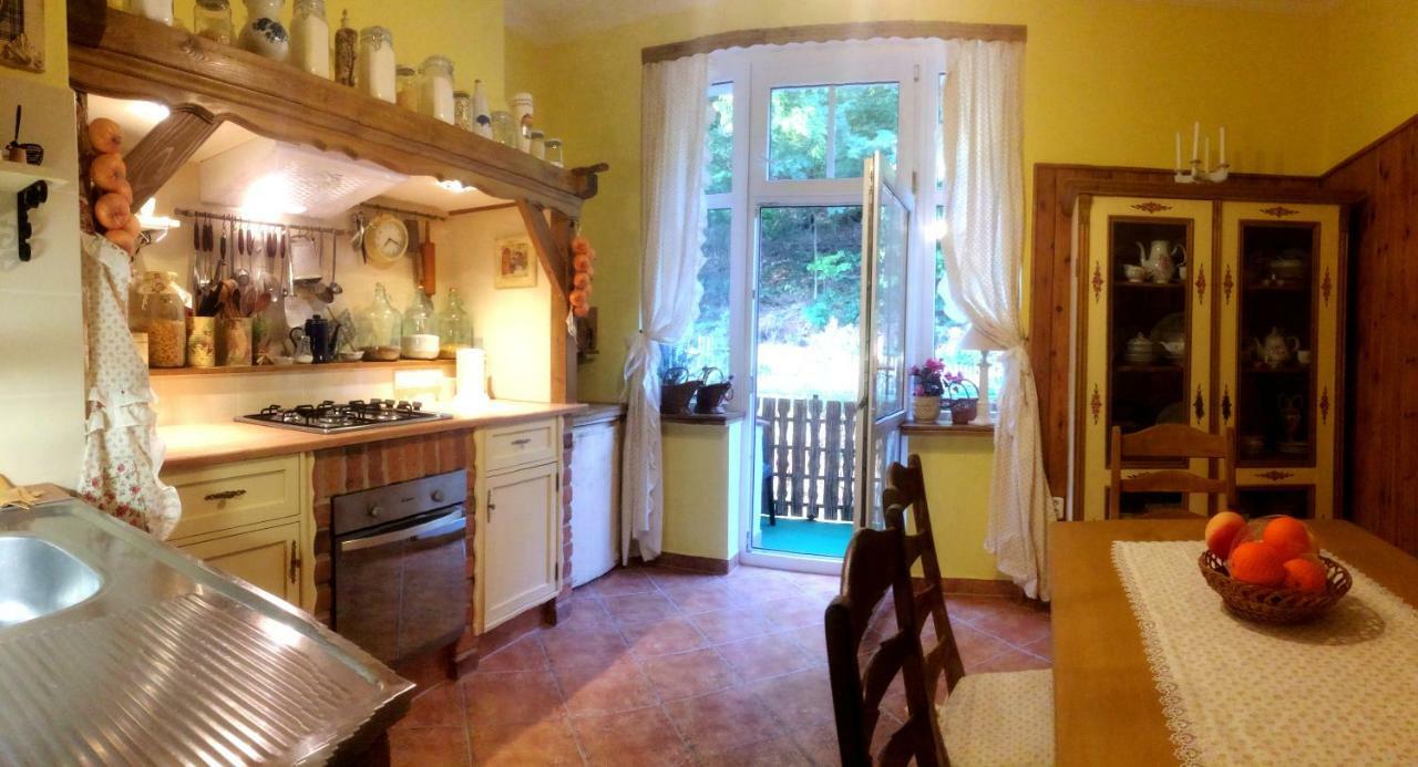 Ria Apartment Vyhlidka كارلوفي فاري المظهر الخارجي الصورة