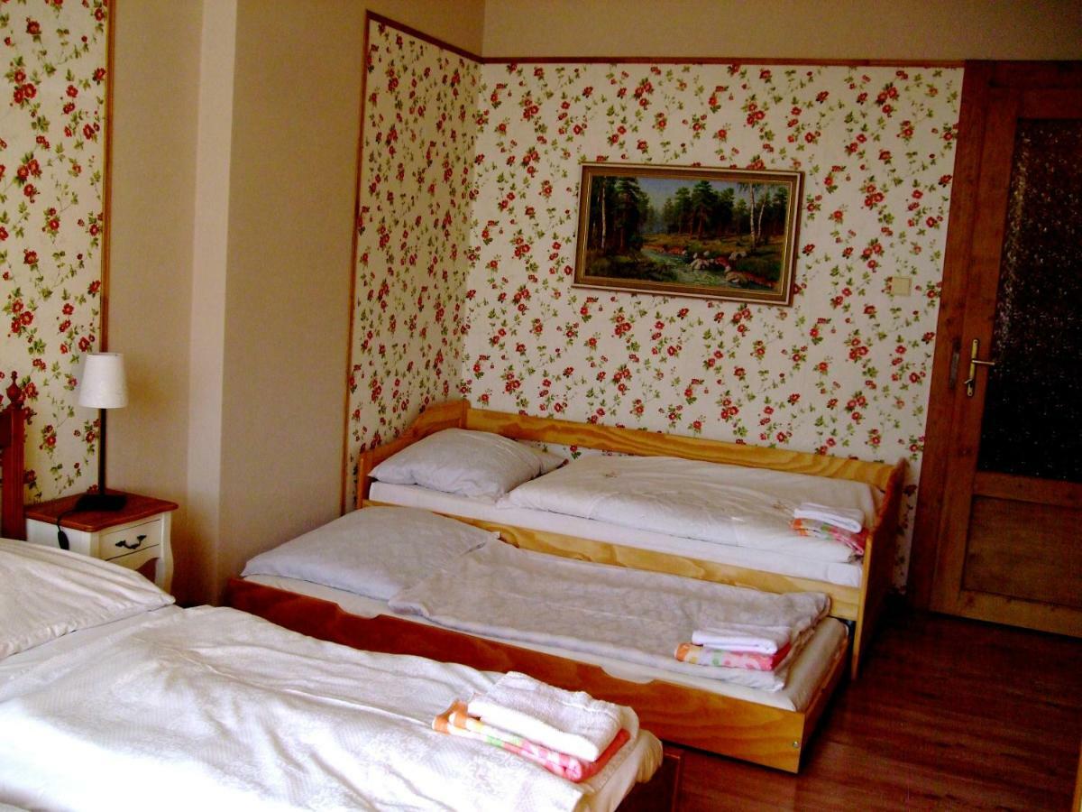 Ria Apartment Vyhlidka كارلوفي فاري المظهر الخارجي الصورة